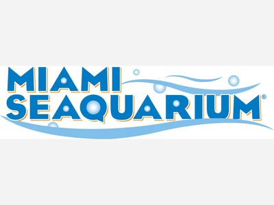 Miami Seaquarium: A Spectacular Marine Adventure in the Magic City