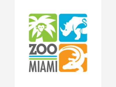 Exploring the Wild Side of Miami: A Journey through the Miami Zoo